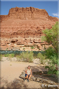 Sandstrand am Colorado River